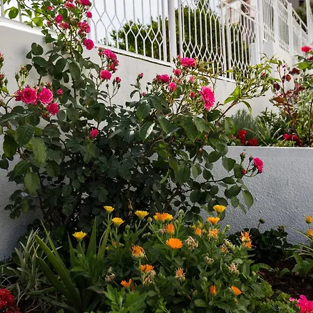 Apartmán Bla Evi - One Bedroom With Terrace And View *