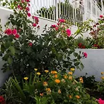 公寓 Bla Evi - One Bedroom With Terrace *